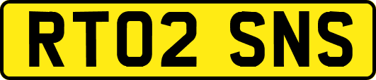 RT02SNS