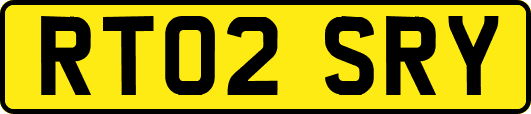 RT02SRY