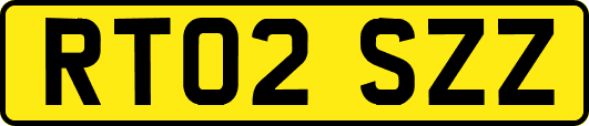 RT02SZZ