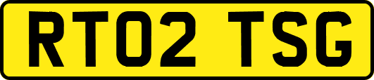 RT02TSG