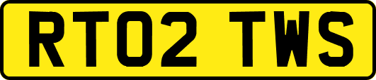 RT02TWS