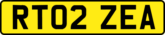 RT02ZEA