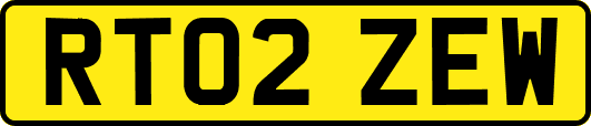 RT02ZEW