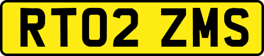 RT02ZMS