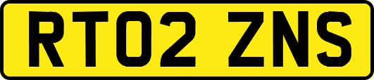 RT02ZNS