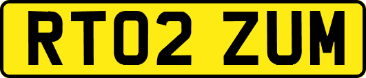 RT02ZUM