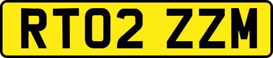RT02ZZM