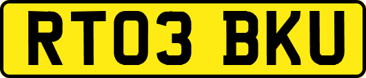 RT03BKU