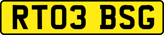 RT03BSG