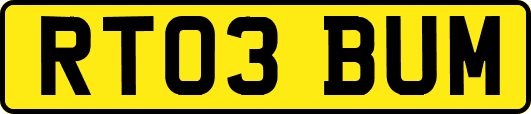 RT03BUM