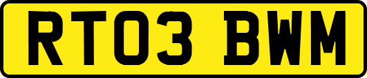 RT03BWM