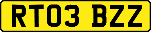 RT03BZZ
