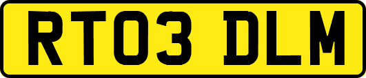 RT03DLM