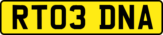 RT03DNA
