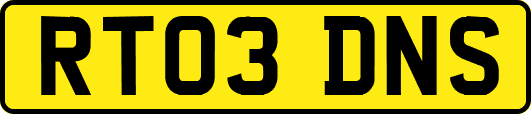 RT03DNS