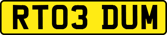 RT03DUM