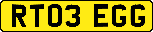 RT03EGG