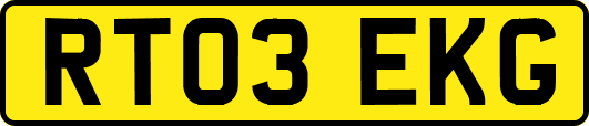 RT03EKG