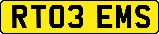 RT03EMS