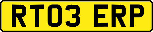 RT03ERP