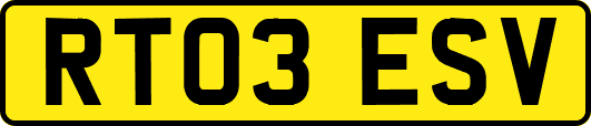 RT03ESV