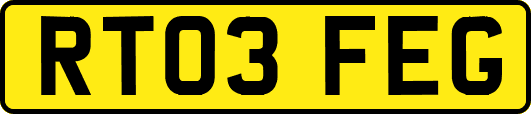 RT03FEG