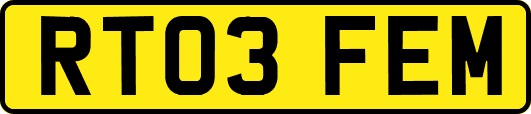 RT03FEM