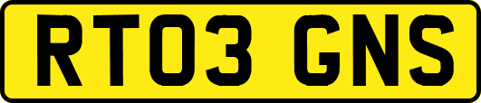 RT03GNS