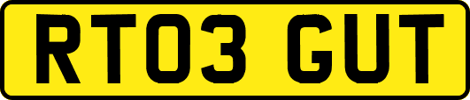 RT03GUT