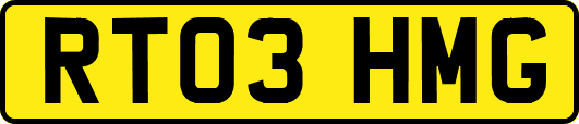 RT03HMG