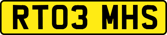 RT03MHS