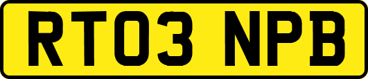 RT03NPB