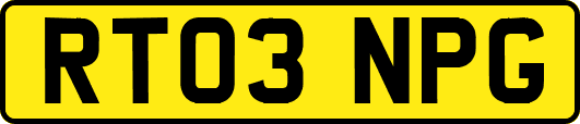 RT03NPG
