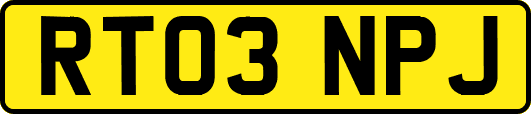 RT03NPJ