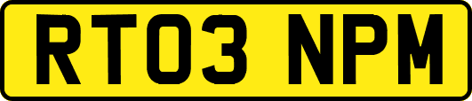 RT03NPM