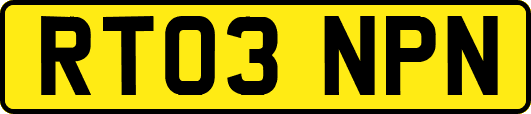 RT03NPN