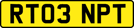 RT03NPT