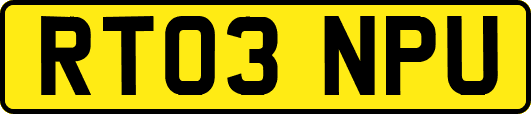 RT03NPU