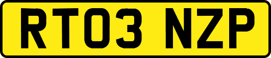 RT03NZP