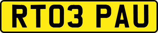 RT03PAU