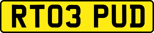 RT03PUD