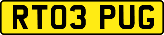 RT03PUG