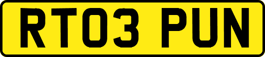 RT03PUN