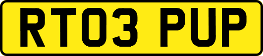 RT03PUP