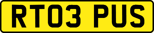 RT03PUS