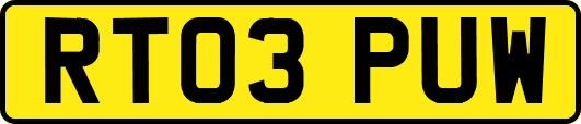 RT03PUW
