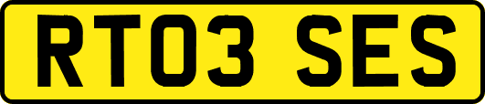 RT03SES