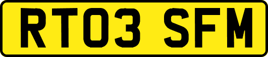 RT03SFM