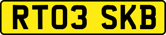 RT03SKB