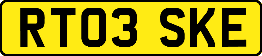RT03SKE